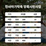 장애아가족 양육지원 연1620만원 돌봄 혜택 장애아가족 양육지원사업의 돌봄 서비스 종류와 연간 지원 시간을 설명하는 이미지