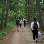 국립산림치유원의 아름다운 숲속 산책로와 치유 프로그램 참여 모습