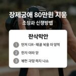장제급여 80만원 조건 신청방법 총정리 장제급여 80만원 지원 조건과 신청방법을 시각화한 이미지