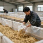 축산농가가 사일리지 제조 현장에서 사료작물을 수확하고 비닐로 밀봉하는 모습