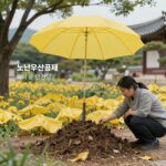 노란우산공제와 희망장려금을 통해 작은 저축이 모여 큰 안전망이 되는 과정을 보여주는 개념 이미지