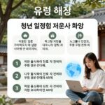 청년 일경험 지원사업의 유형과 혜택을 설명하는 인포그래픽