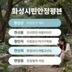 화성시민안전보험 보상 항목을 설명하는 인포그래픽