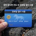 제주 탐나는전 카드와 모바일 결제 사용법