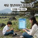 제주 청년이어드림지원금 단계별 지급 과정