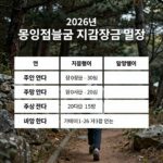 2026 공익직불금 면적직불금 지급 2026년 공익직불금 면적직불금 지급 절차와 일정을 한눈에 보여주는 그림