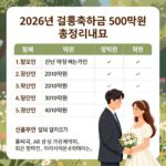 결혼축하금 2026 최신 총정리 2026년 결혼축하금 500만원 200만원 총정리 표와 신혼부부 일러스트