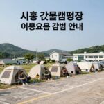 시흥 갯골캠핑장 이용요금 감면 혜택 안내 이미지 주차장과 캠핑장 전경