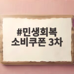 민생회복 소비쿠폰 3차
