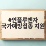 인플루엔자 국가예방접종 지원