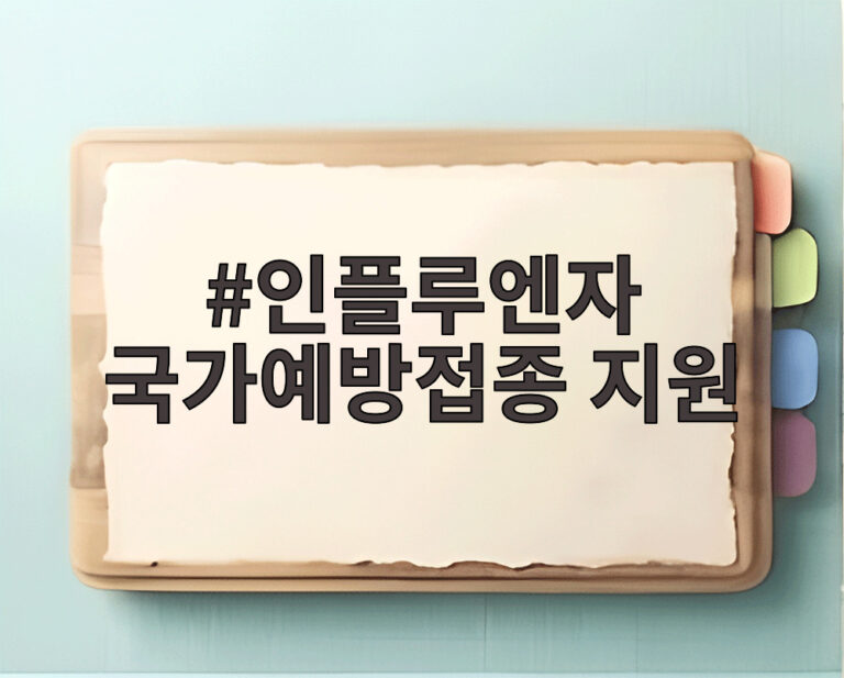 인플루엔자 국가예방접종 지원