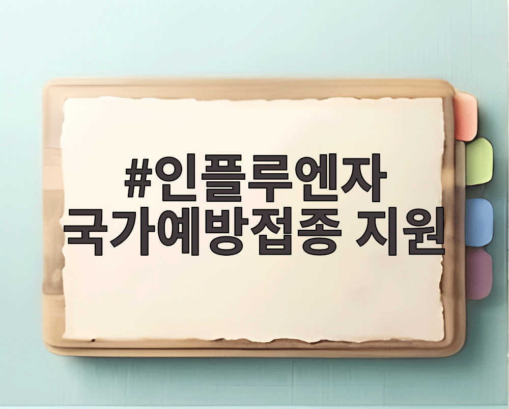 인플루엔자 국가예방접종 지원