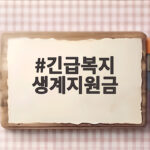 긴급복지 생계지원금