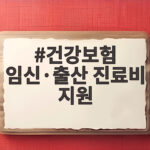 건강보험 임신·출산 진료비 지원