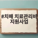 치매 치료관리비 지원사업