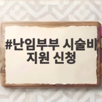난임부부 시술비 지원 신청