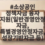 소상공인 정책자금 융자 지원(일반경영안정자금, 특별경영안정자금, 성장기반자금 등)