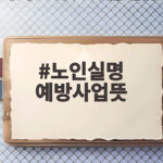 노인실명 예방사업뜻