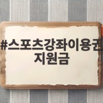 스포츠강좌이용권 지원금