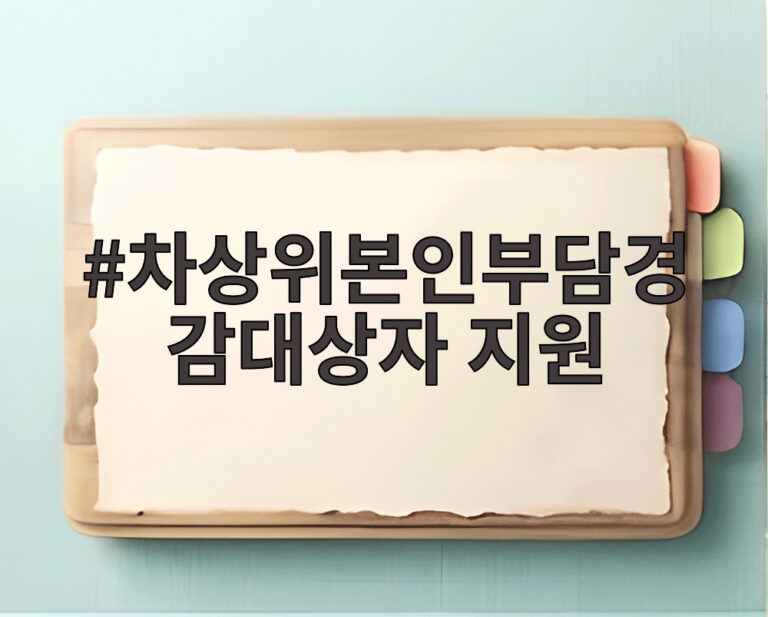 차상위본인부담경감대상자 지원