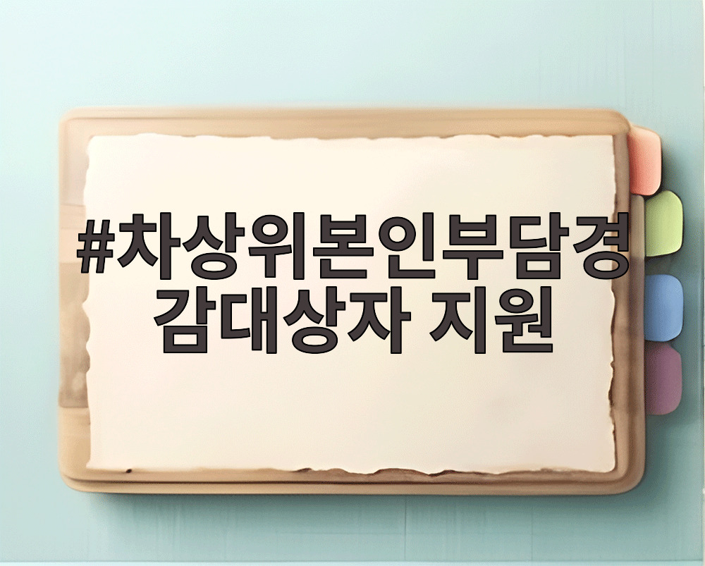 차상위본인부담경감대상자 지원