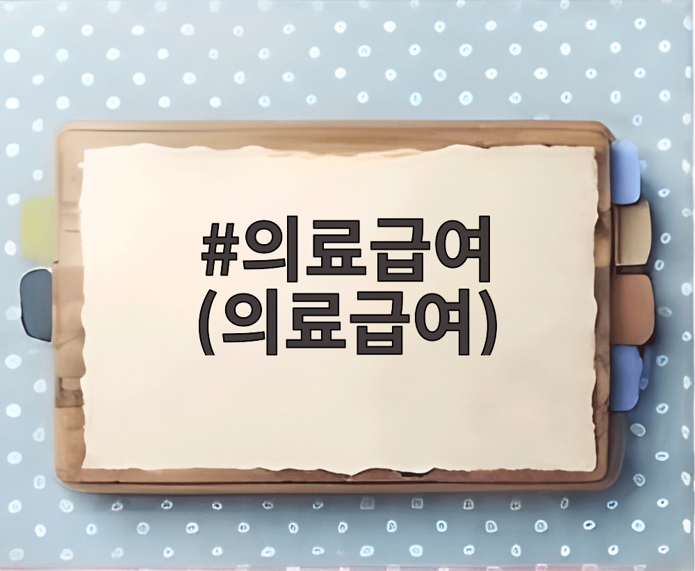 의료급여 (의료급여)