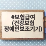 보험급여 (건강보험 장애인보조기기)