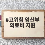 고위험 임산부 의료비 지원