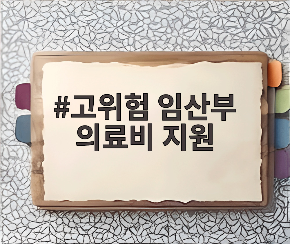 고위험 임산부 의료비 지원