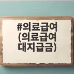 의료급여 (의료급여 대지급금)
