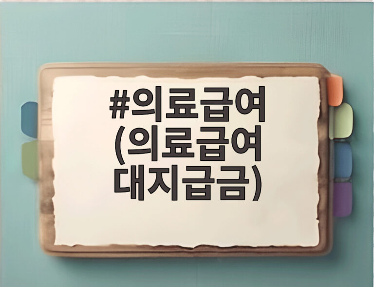 의료급여 (의료급여 대지급금)