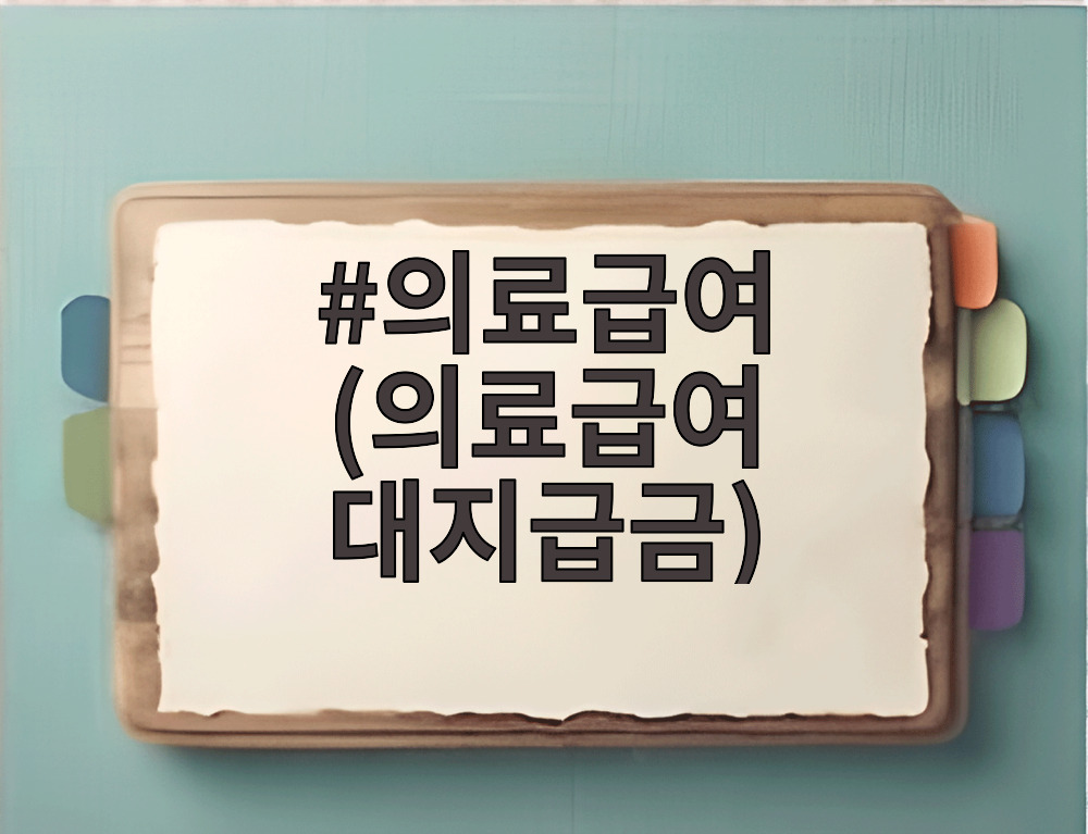 의료급여 (의료급여 대지급금)