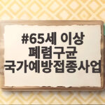 65세 이상 폐렴구균 국가예방접종사업