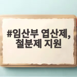 임산부 엽산제 철분제 지원 총정리 임산부 엽산제, 철분제 지원