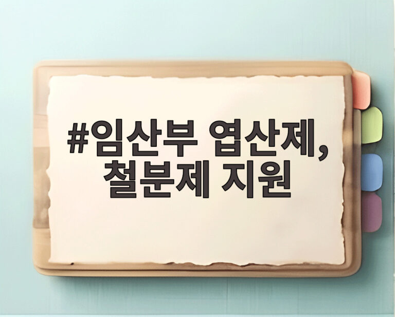 임산부 엽산제, 철분제 지원