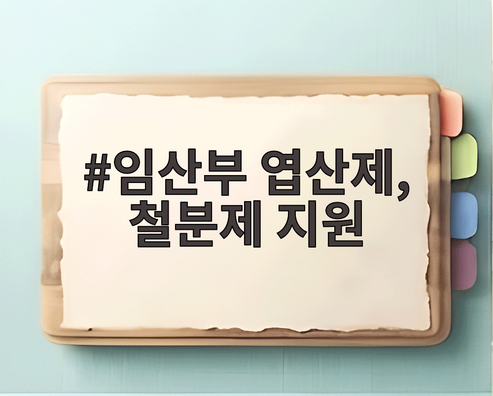임산부 엽산제, 철분제 지원