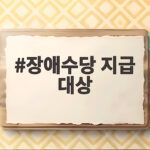 장애수당 지급 대상