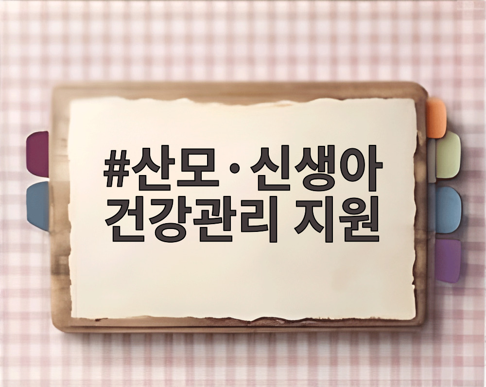 산모·신생아 건강관리 지원