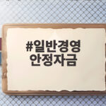 일반경영 안정자금