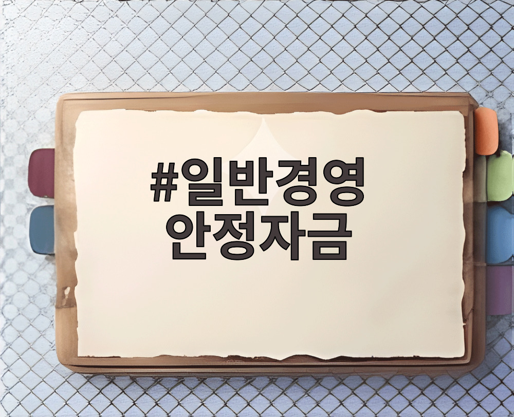 일반경영 안정자금