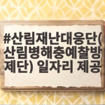 산림재난대응단(산림병해충예찰방제단) 일자리 제공