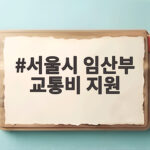 서울시 임산부 교통비 지원