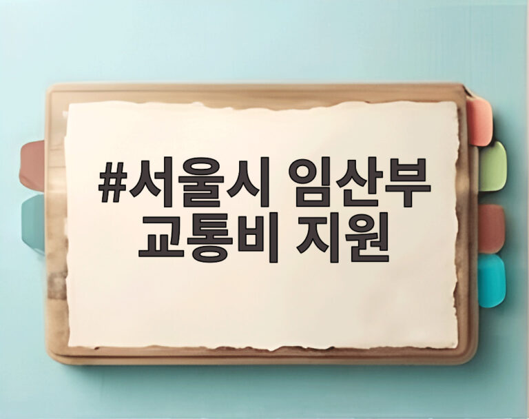 서울시 임산부 교통비 지원