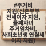 주거비 지원(신혼부부 전세이자 지원, 둘째자녀 주거임차비, 사회초년생 연월세 이자 지원)