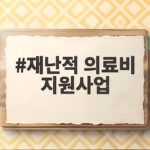 재난적 의료비 지원사업