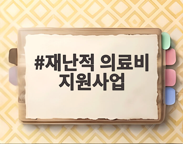 재난적 의료비 지원사업