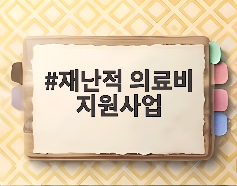 재난적 의료비 지원사업