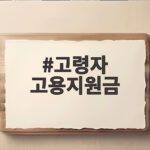 고령자 고용지원금 신청 조건과 혜택 고령자 고용지원금