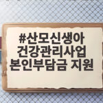 산모신생아 건강관리사업 본인부담금 지원
