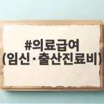 의료급여 임신 출산진료비 100만원 신청 의료급여 (임신·출산진료비)